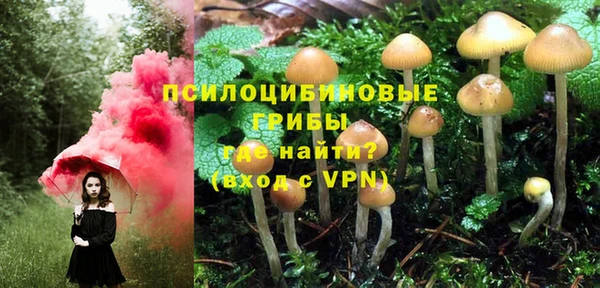 а пвп мука Баксан