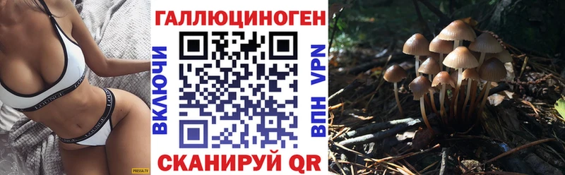 ОМГ ОМГ где купить наркоту Вуктыл Псилоцибиновые грибы MAGIC MUSHROOMS